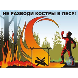 Комплект плакатов Экология леса (3 листа, A3, лам.)