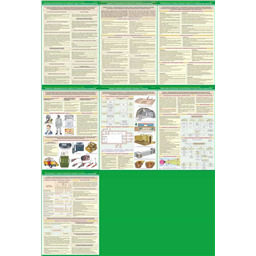 Комплект плакатов Организация и мероприятия гражданской обороны (7 листов, A2)