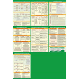 Комплект плакатов Организация подготовки и обучения по ГО и ЧС (7 листов, A2)