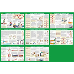 Комплект плакатов Приёмы оказания первой помощи пострадавшим (8 листов, А2)