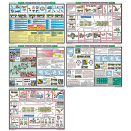 Комплект плакатов Инструментальный контроль грузовых автомобилей (5 листов, A3, лам.)