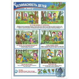 Плакат Безопасность детей в лесу (A3, лам.)